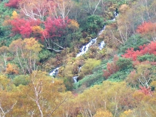 2007_1017��������0157