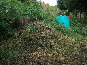 2011_1003�뤫��0006