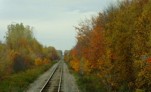 2005_1020첽ٻΥե०0015