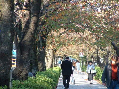 2007_1004¾®Åĸ¶ÈͶ£²0074