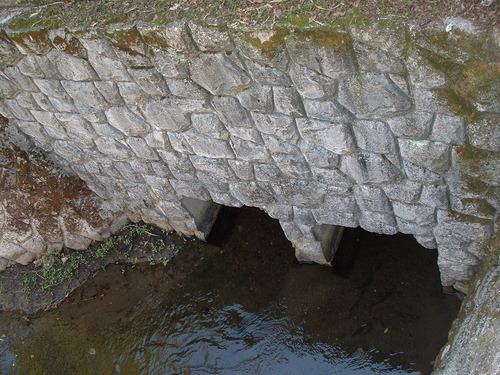 2007_1004¾®Åĸ¶ÈͶ£²0051