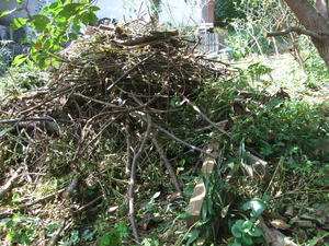 2011_1003�뤫��0005