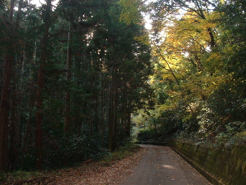 2007_1202Ƴλºµ¢¤êGH0001