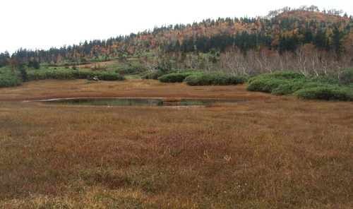 2007_1017��������0183