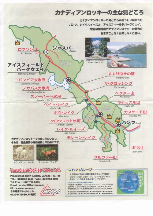 ���ʥǥ�������å�������