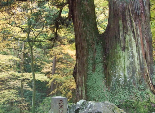 2007_1202¹ä»Ë¾»»Òº§Ìó0089