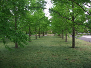 2012_0520�����ҥӡ���0006