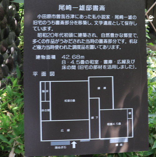 IMG_9556 - ���ԡ�