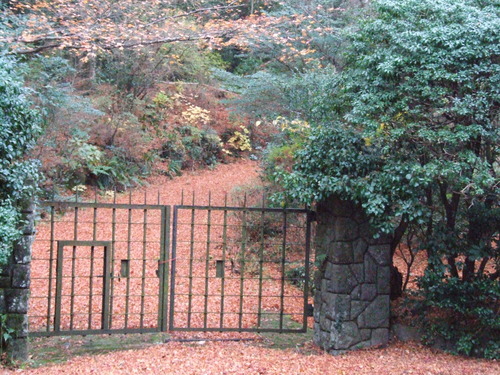 2006_1209ÈÕ½©¤ÎÈ¢º¬0026