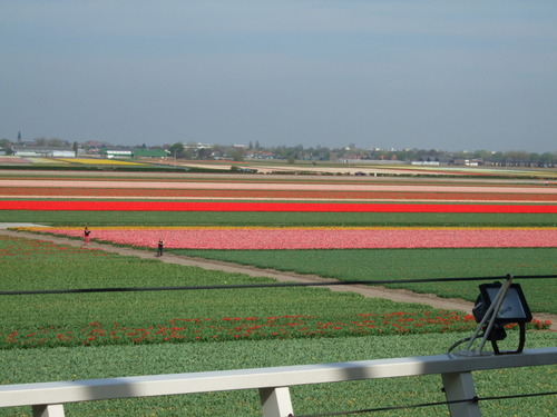 2007_0417オランダ0599