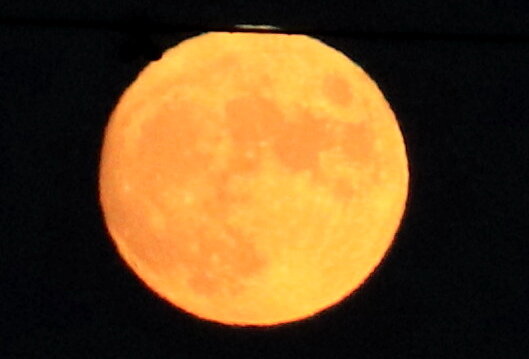 待宵月 花咲かすおじさん 待宵月 花咲かすおじさん