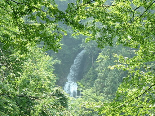 DSCF0066