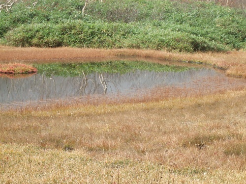 2007_1017��������0172