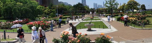 IMG_2388合成