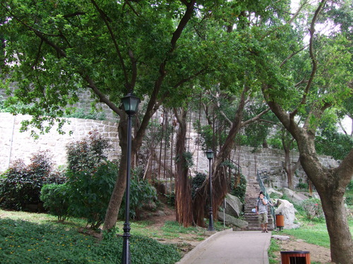 2008_0508����ޥ���0126