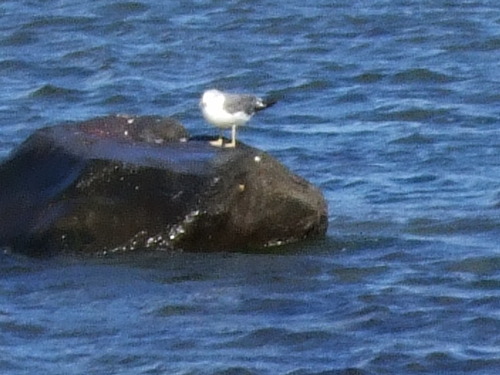 2007_0924��ʸ����������0033