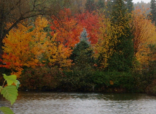 2005_1020첽ٻΥե०0051