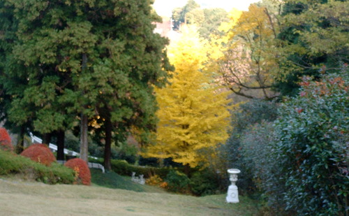 2007_1202Ƴλºµ¢¤êGH0018