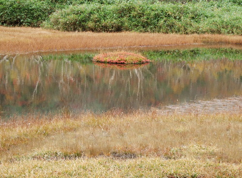 2007_1017��������0174