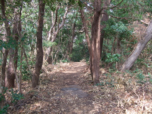 2011_1011¾ÅÆîÊ¿0029