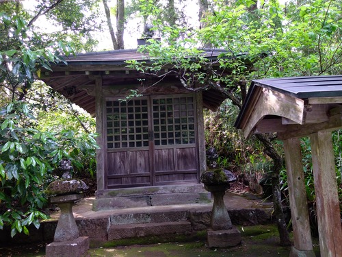 IMG_20200512_155937_BEAUTY (1)