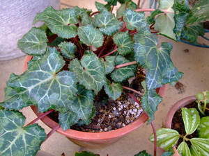 2010_1201���β�0001