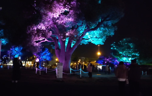 VID_20231229_17335400h00m21s23