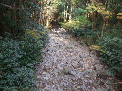 2007_1202¹ä»Ë¾»»Òº§Ìó0140