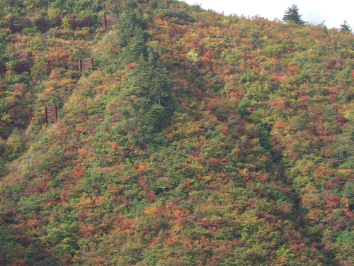 2007_1017��������0037