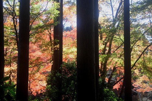 IMG_1893����