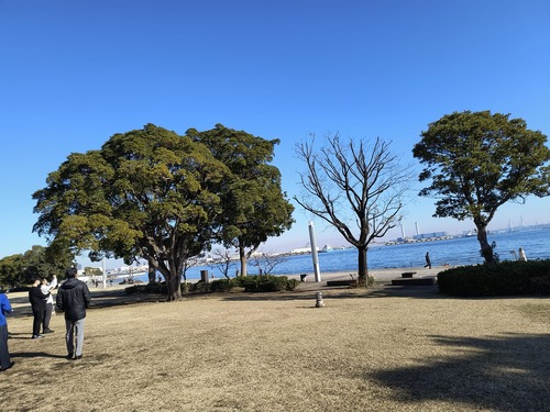 WhatsApp Image 2026-01-04 at 16.00.08