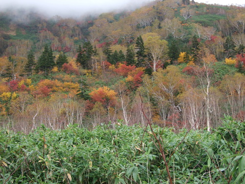 2007_1017��������0133