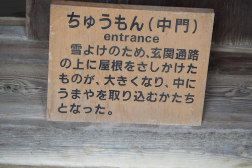 DSCF8253