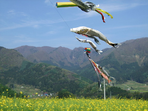 2007_0509¿®½£0150