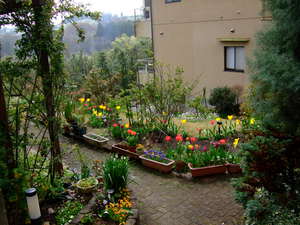 2010_0406���塼��å�0001