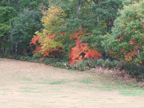 2007_1017��������0229