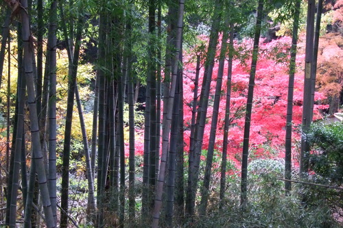 2007_1202¹ä»Ë¾»»Òº§Ìó0005