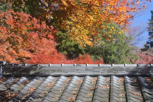 IMG_1886����