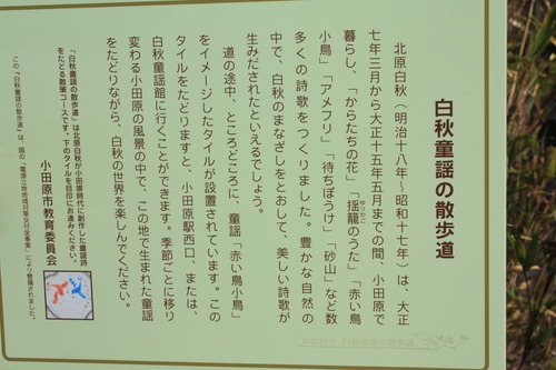 ���ĸ����Ķ� (102)