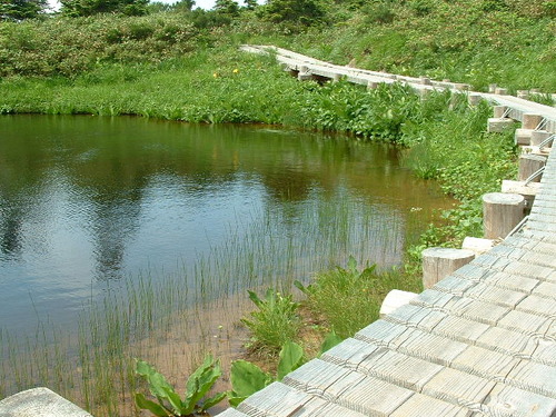 DSCF0039