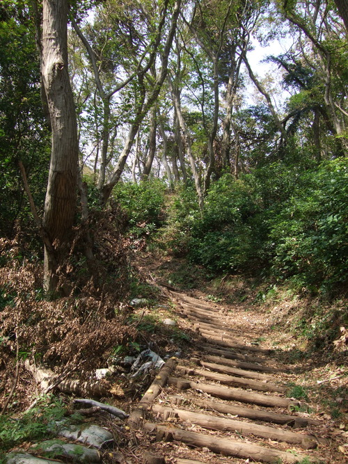 2011_1011¾ÅÆîÊ¿0038