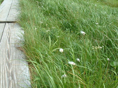 DSCF0028