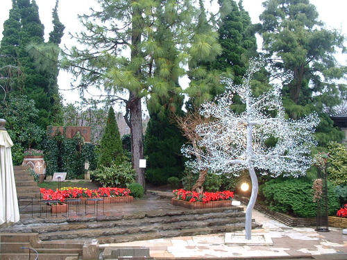 2006_1209�ս���Ȣ��20097