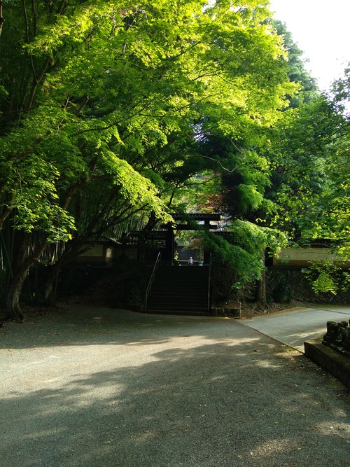 IMG_20200512_160034_BEAUTY