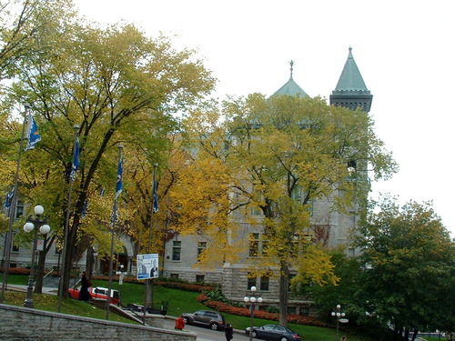 2005_1020첽ٻΥե०0038