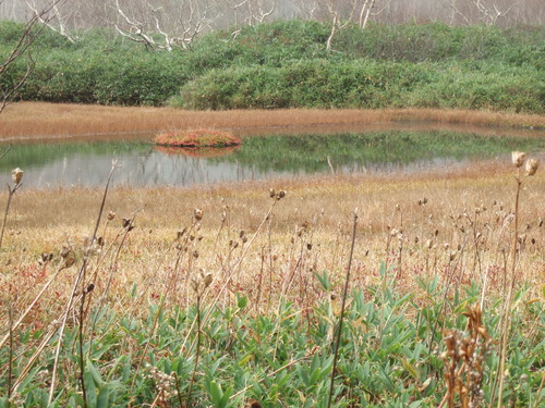 2007_1017��������0171