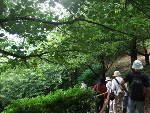 2011_0708松田町0026
