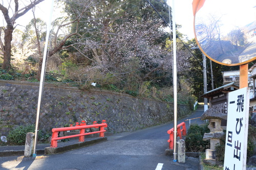 IMG_1025(1)