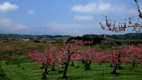 2007_0509¿®½£0118