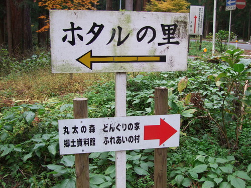 2007_1202¹ä»Ë¾»»Òº§Ìó0042